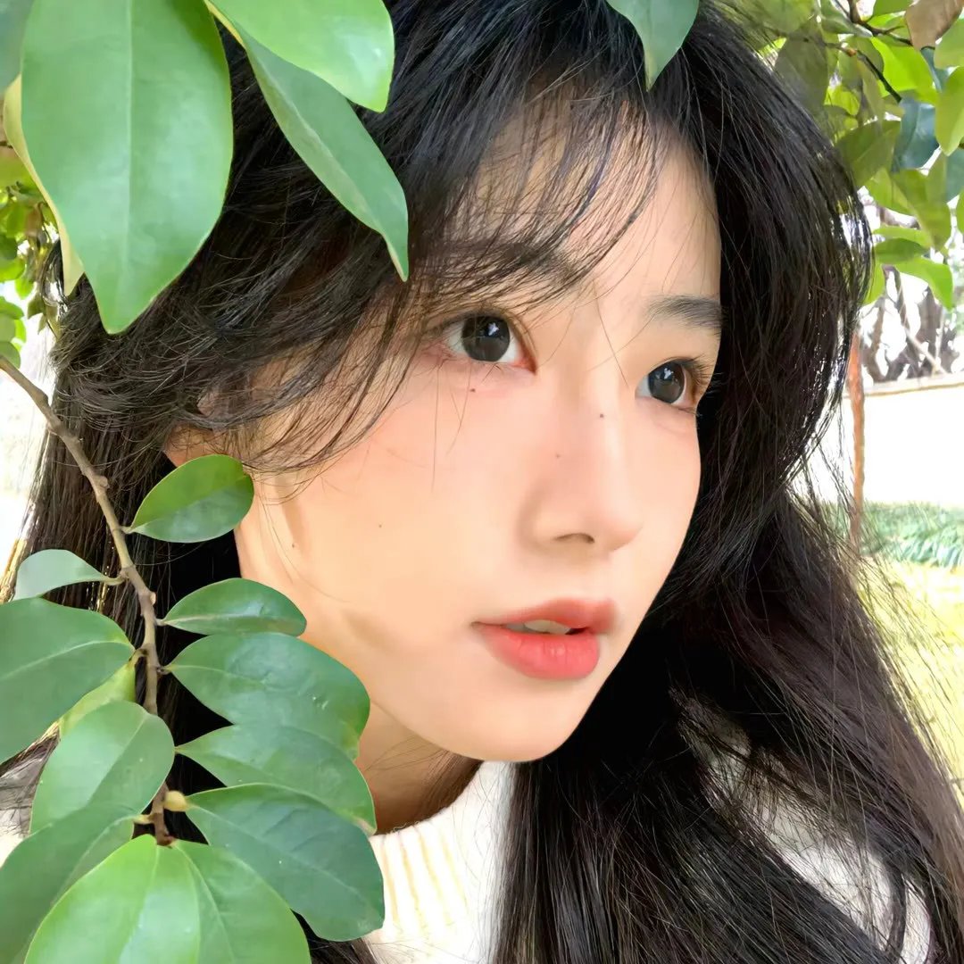 花之屋大电影