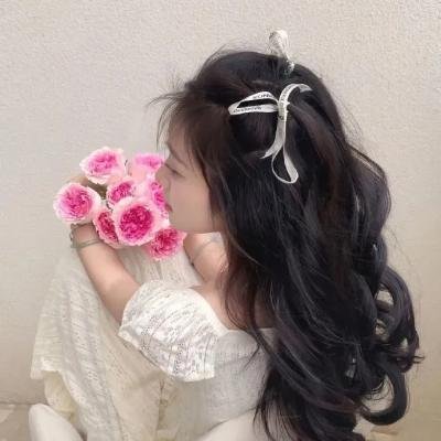 红河劫